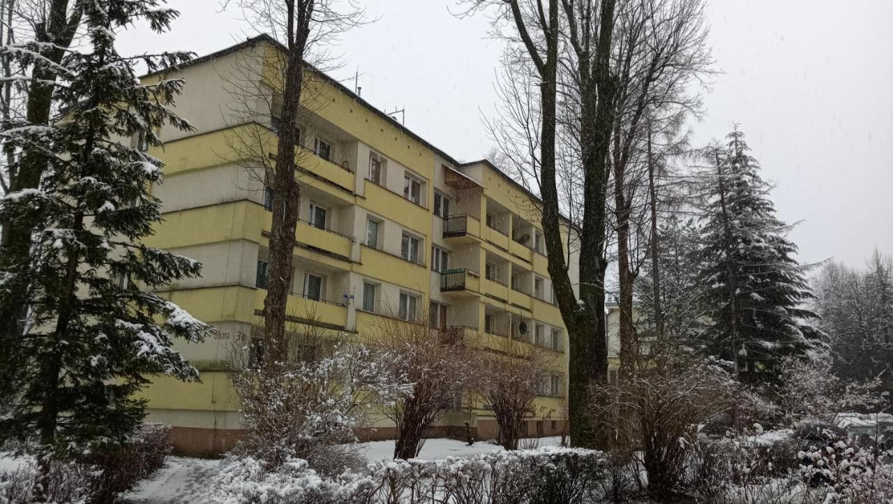 Apartament Alicja, Scisle Centrum, Orkana 3 Закопане Екстериор снимка